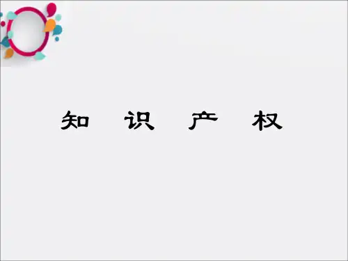 《知识产权》PPT课件