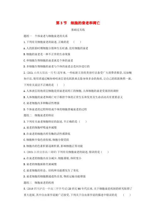 高中生物第6章细胞的生命和历程第3节细胞的衰老和凋亡练习(含解析)新人教版必修