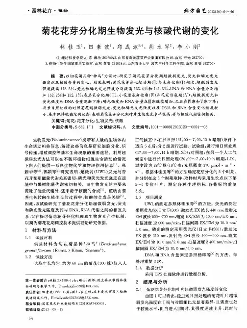 菊花花芽分化期生物发光与核酸代谢的变化