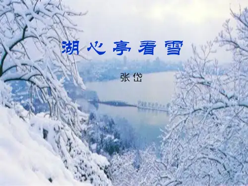 人教部编版九年级语文上册 12《湖心亭看雪》课件