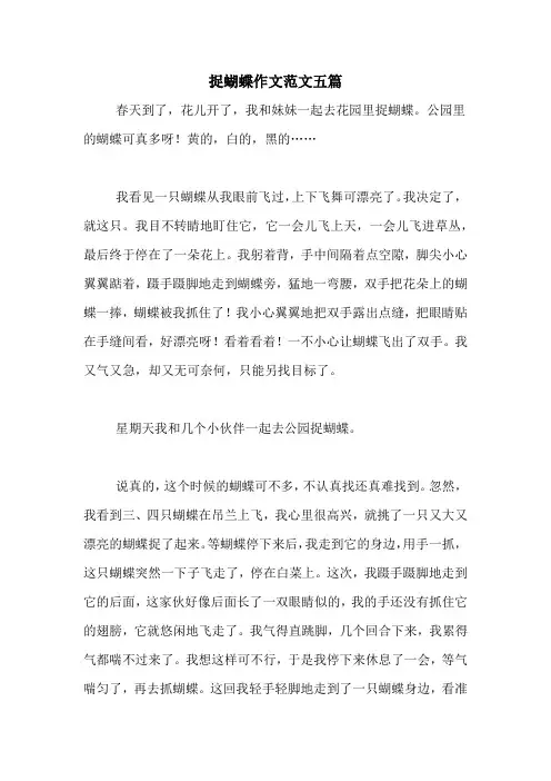 捉蝴蝶作文范文五篇