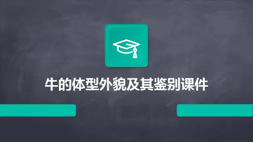 牛的体型外貌及其鉴别课件
