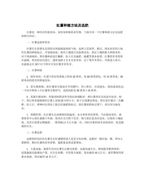 红薯种植方法及追肥
