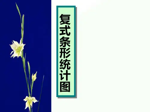 2020年五年级下册数学优秀课件-8.1《复式条形统计图》北师大版  (共12张PPT)