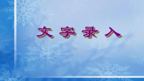 中文英文录入概述