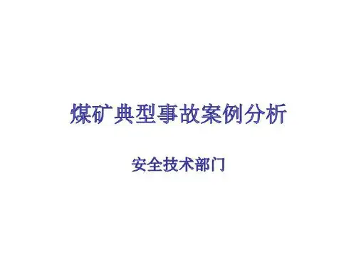 王广基中药药代动力学的研究