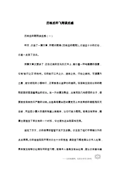 历练后的飞翔读后感