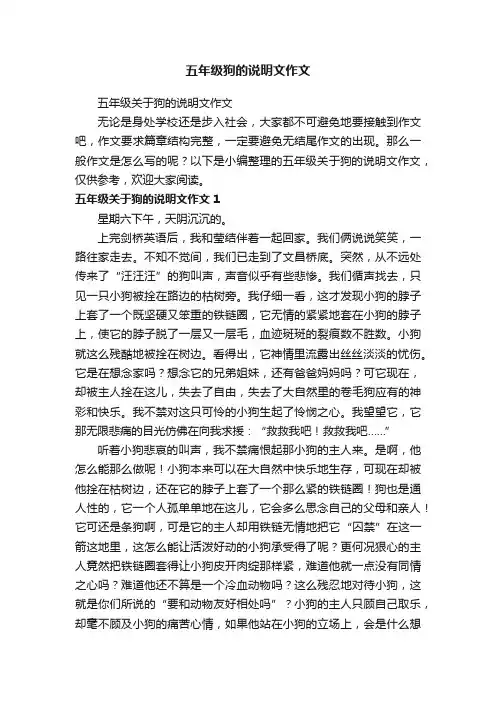 五年级狗的说明文作文