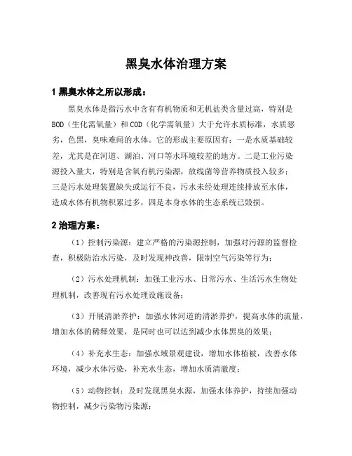 黑臭水体治理方案