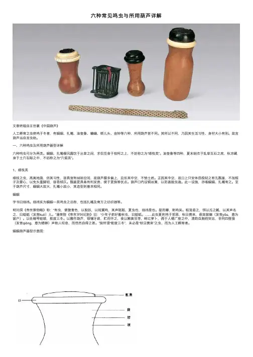 六种常见鸣虫与所用葫芦详解