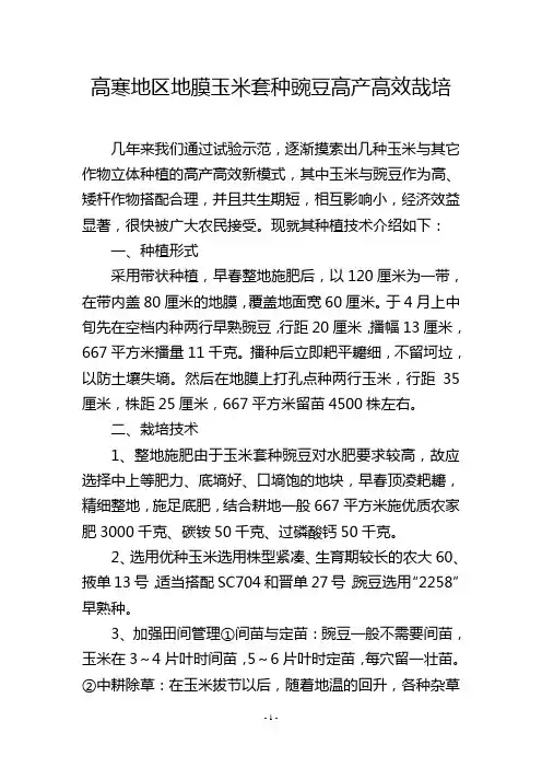 高寒地区地膜玉米套种豌豆高产高效哉培