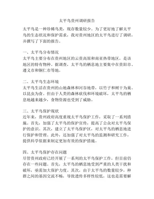 太平鸟贵州调研报告