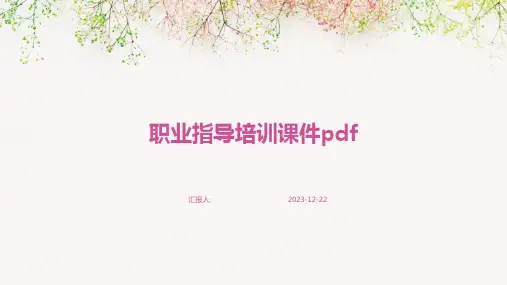 职业指导培训课件pdf