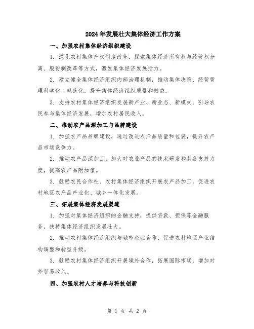 2024年发展壮大集体经济工作方案