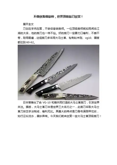 不做侠客做厨师，世界顶级厨刀欣赏！