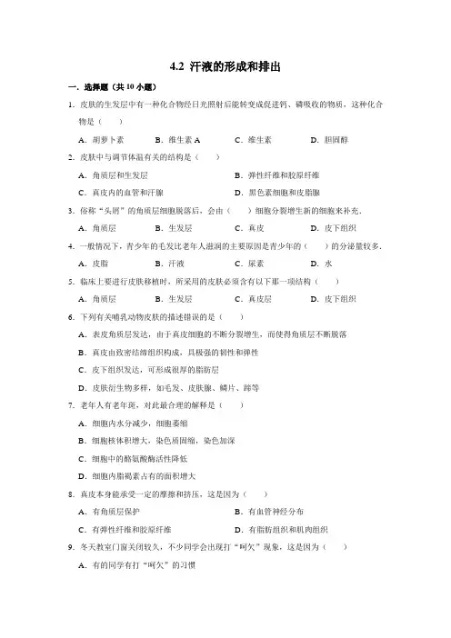 济南版生物七年级下册汗液的形成和排出