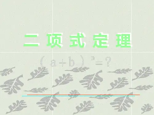 二项式定理ppt课件