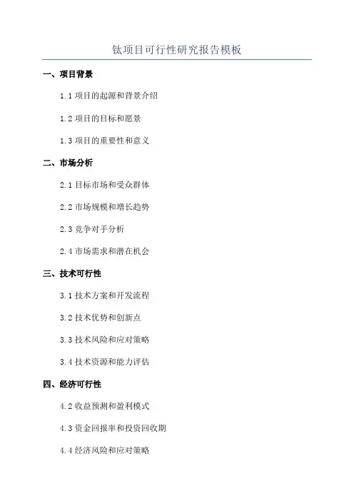 钛项目可行性研究报告模板