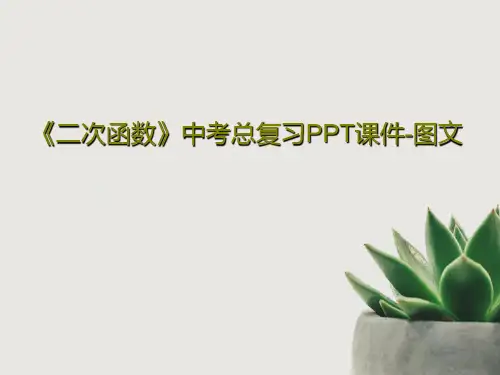 《二次函数》中考总复习PPT课件-图文共131页文档