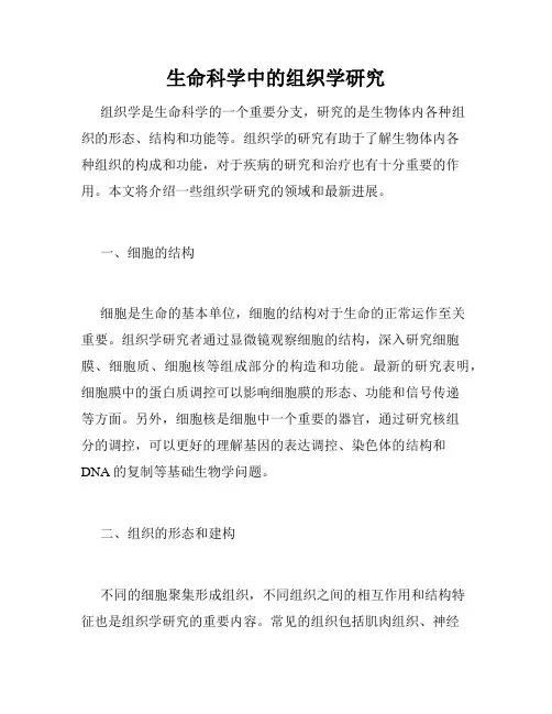 生命科学中的组织学研究
