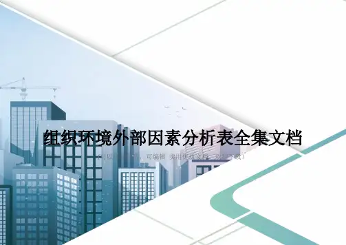 组织环境外部因素分析表全集文档