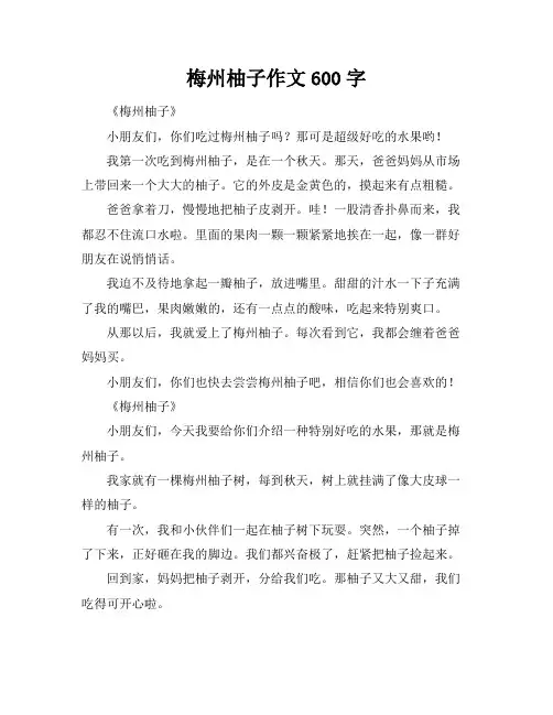 梅州柚子作文600字