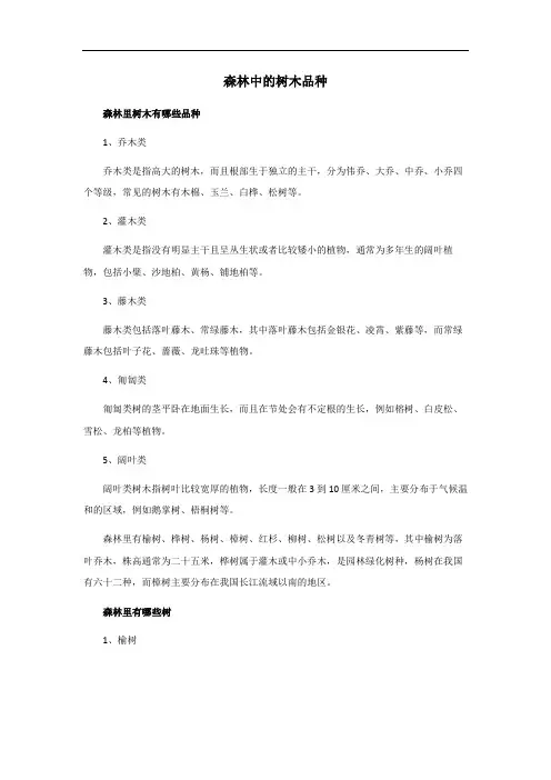 森林中的树木品种