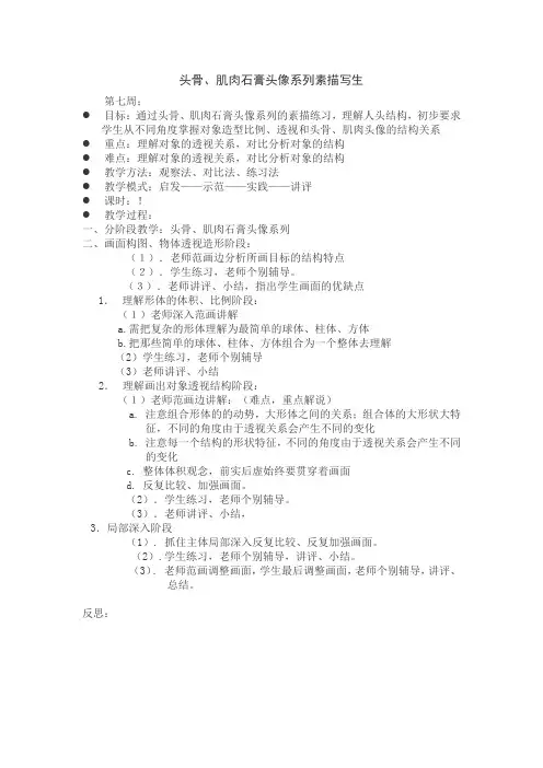 第七周头骨教案设计系列