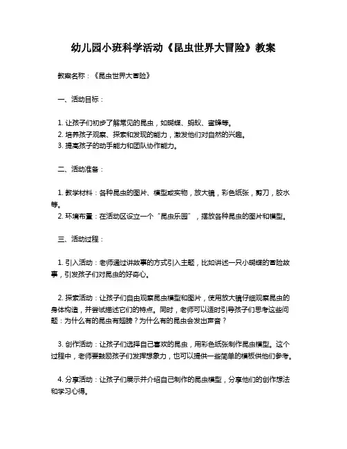 幼儿园小班科学活动《昆虫世界大冒险》教案