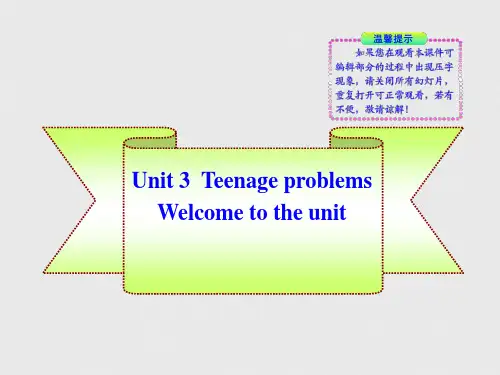 九年级英语上册《Unit 3 Teenage problems》Welcome to the uni