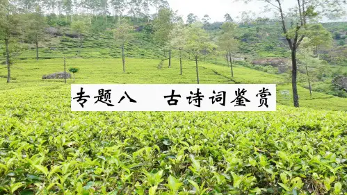 七年级语文上册 期末专题复习八 古诗词鉴赏课件
