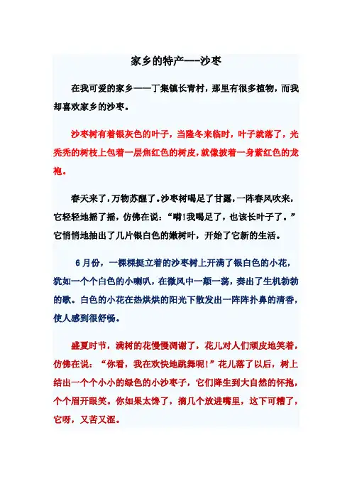 家乡的特产 4