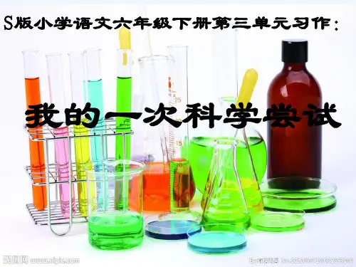 我的一次科学尝试习作指导课件