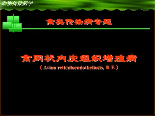 动物传染病-鸡病课件  RE