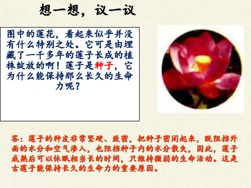 人教版七年级上册生物课件3.1.2种子植物35张ppt