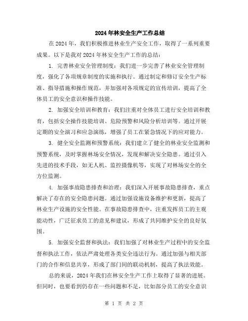 2024年林安全生产工作总结