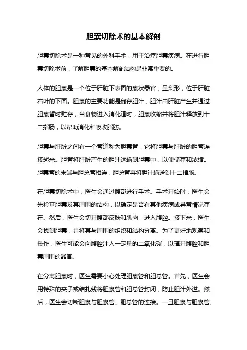 胆囊切除术的基本解剖