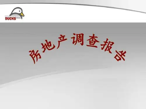 《房地产调研报告》PPT课件