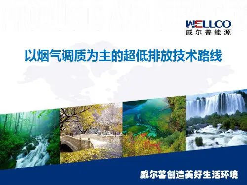 威尔普—以烟气调质为主的超低排放技术路线