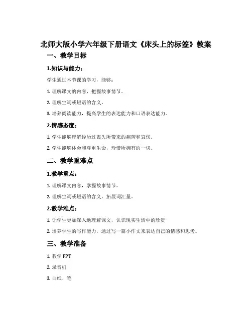 北师大版小学六年级下册语文《床头上的标签》教案