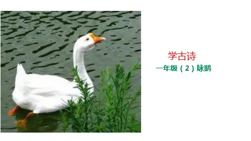 一年级上册语文学古诗《咏鹅》部编[新教材]
