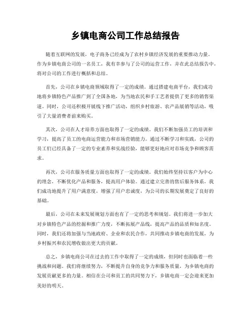 乡镇电商公司工作总结报告