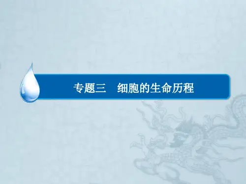 高考生物二轮复习名师指导课件 细胞的增殖和受精作用