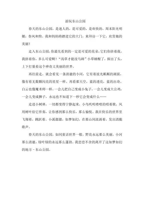 游玩东山公园作文400字