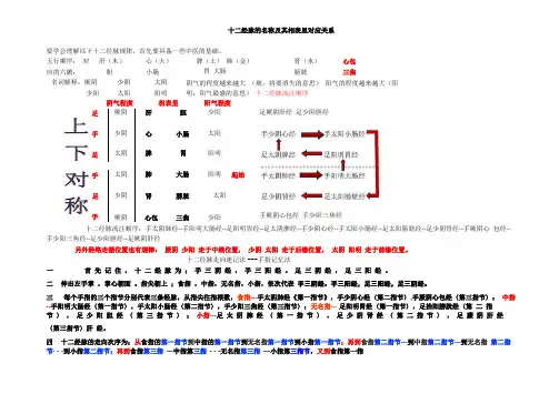 十二经脉的名称及记忆方法