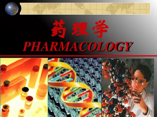药理学总论 4 ppt课件