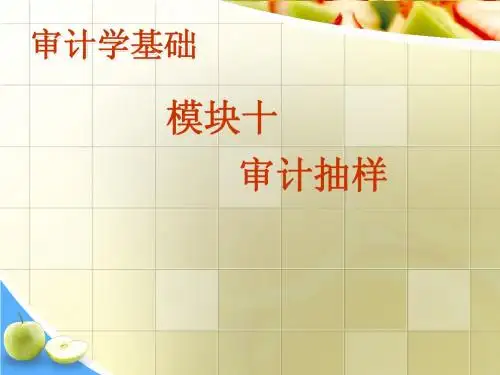 10审计抽样