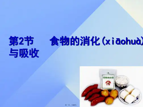 九年级科学上册第4章第2节食物的消化与吸收课件1浙教版