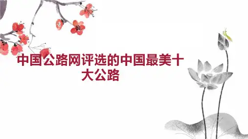 中国公路网评选的中国最美十大公路