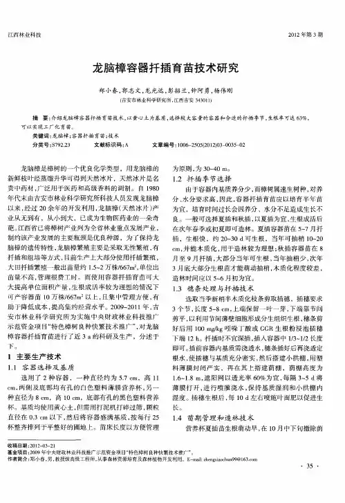 龙脑樟容器扦插育苗技术研究